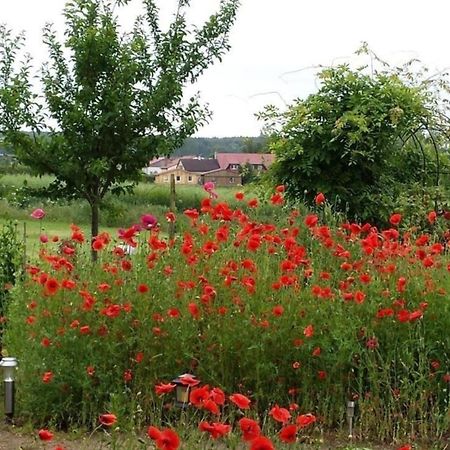 Ruhige Fewo Im Gruenen Mit Balkon, Terrasse Und Grossem Garten Appartement Sehlen Buitenkant foto