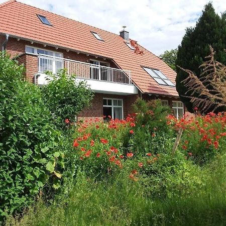 Ruhige Fewo Im Gruenen Mit Balkon, Terrasse Und Grossem Garten Appartement Sehlen Buitenkant foto