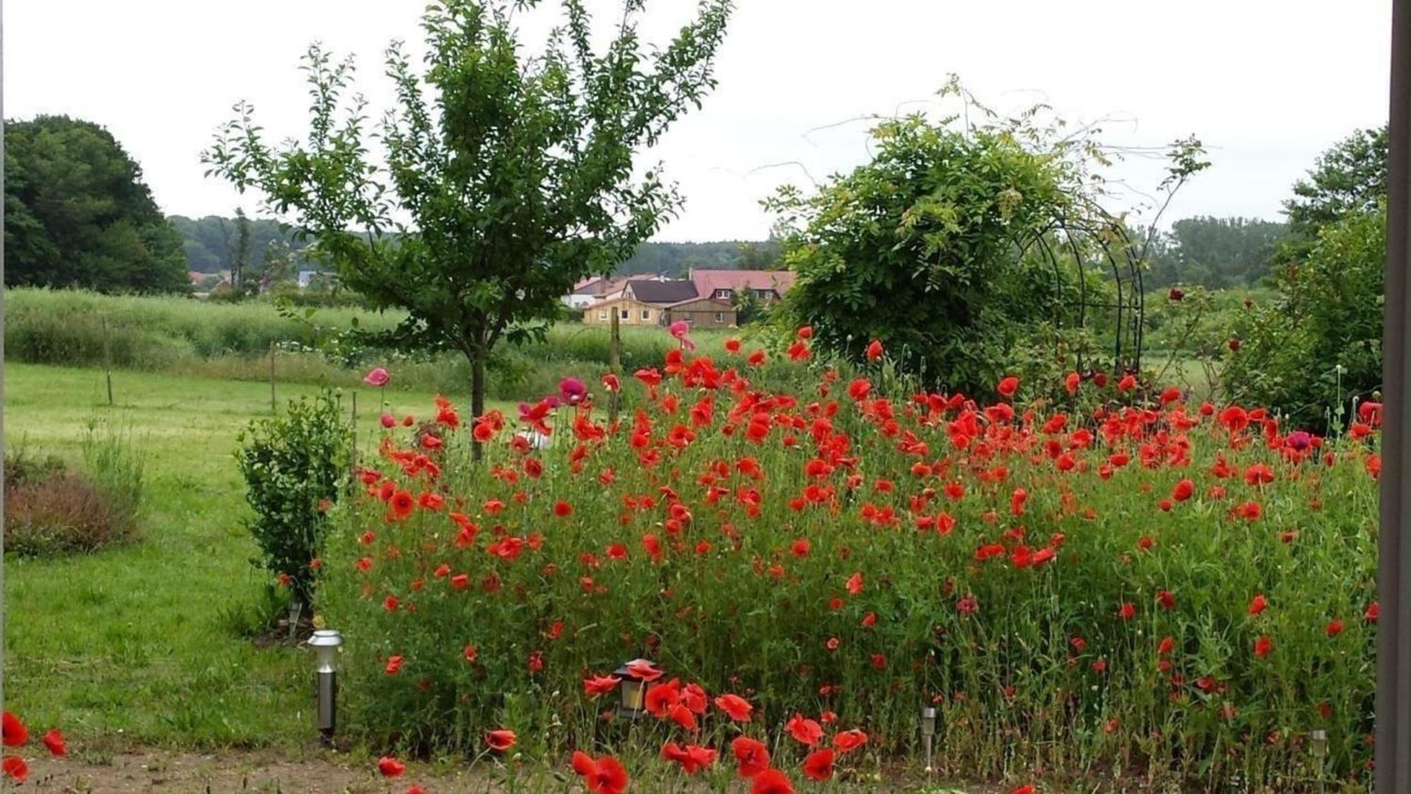 Ruhige Fewo Im Gruenen Mit Balkon, Terrasse Und Grossem Garten Appartement Sehlen Buitenkant foto