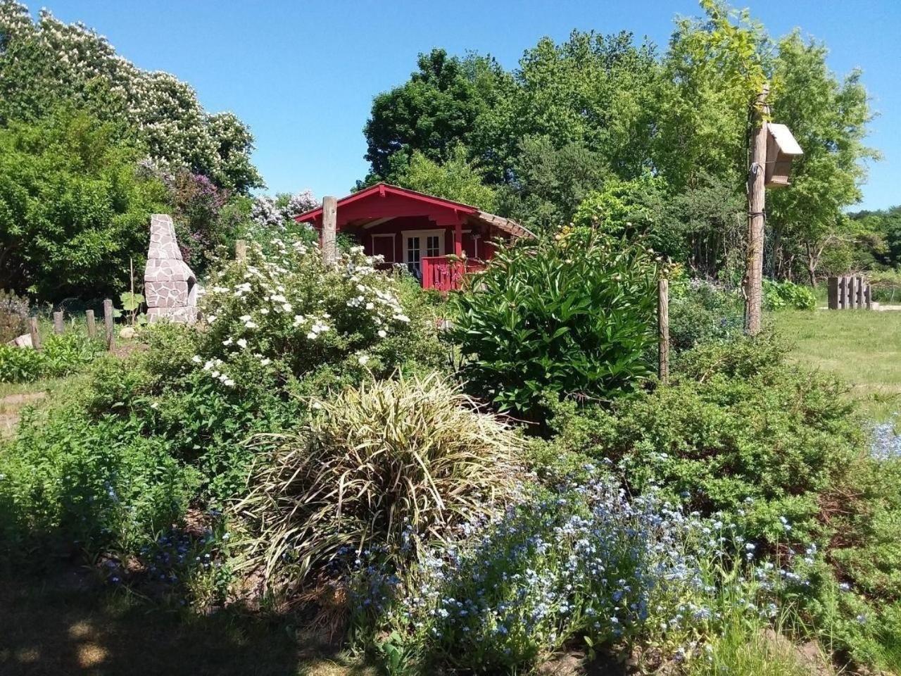 Ruhige Fewo Im Gruenen Mit Balkon, Terrasse Und Grossem Garten Appartement Sehlen Buitenkant foto