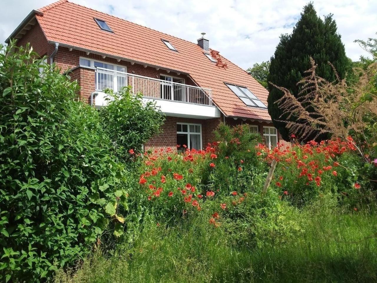 Ruhige Fewo Im Gruenen Mit Balkon, Terrasse Und Grossem Garten Appartement Sehlen Buitenkant foto